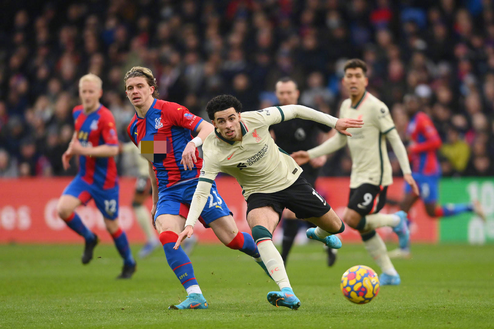 的一大亮点 的一大亮点